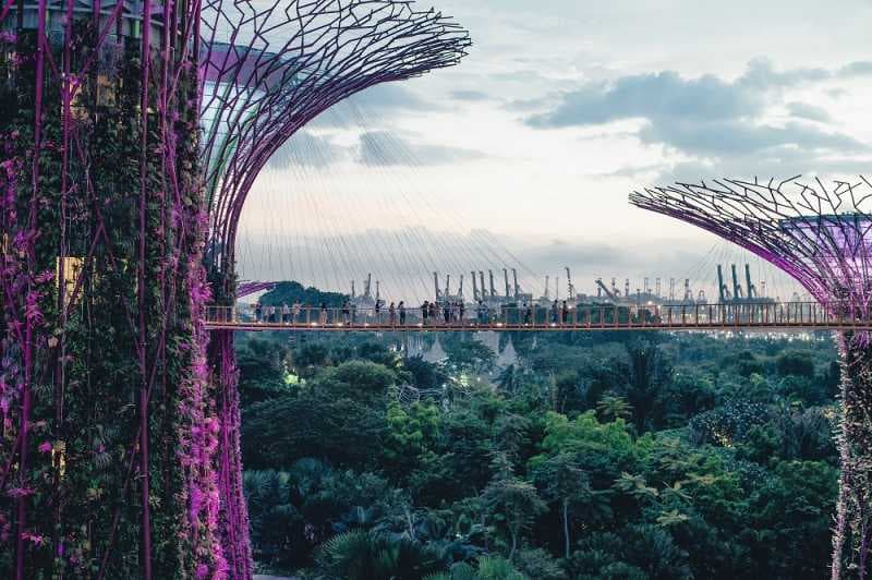 Singapura Bikin Taman Niat Banget, Nih 5 Rekomendasinya