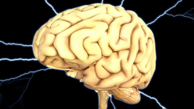 Ketika 3 Otak Manusia Terhubung dan Bisa Saling Berbagi Pikiran